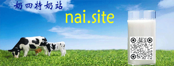 nai.site 奶站 广告词设计